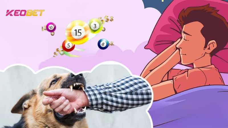 ถอดรหัสความฝันโดนหมากัด ควรเดิมพันตัวเลขไหนถึงจะชนะรางวัลใหญ่?