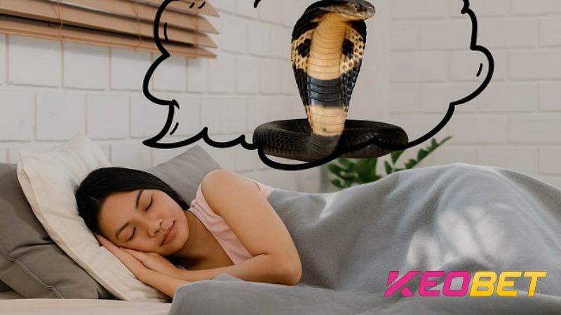 Keobet ถอดรหัสความฝันเกี่ยวกับงูในกรณีเฉพาะ
