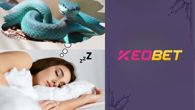 ถอดรหัสความฝันเห็นงู ลุ้นหวยเลขอะไรลุ้นรางวัลใหญ่ที่ Keobet?