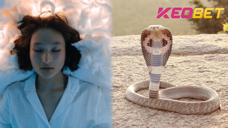 การตีความความฝันเกี่ยวกับงูที่สมบูรณ์แบบที่สุด | เลือกหมายเลขลอตเตอรี่นำโชค