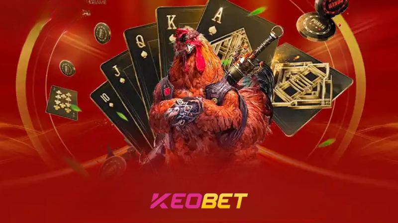 กฎพื้นฐานของการชนไก่ด้วยเดือยเหล็กที่เจ้ามือรับพนัน Keobet