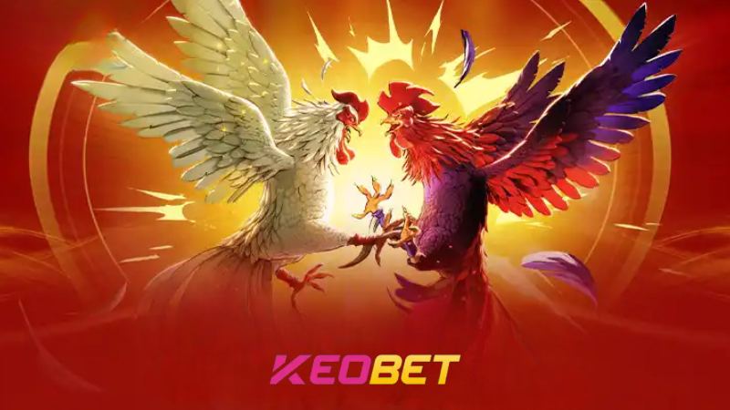 ประสบการณ์ติดตามประวัติศาสตร์การชนไก่ด้วยเดือยเหล็กที่ Keobet